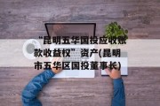 “昆明五华国投应收账款收益权”资产(昆明市五华区国投董事长)