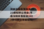 河南汝阳农发投资2023债权转让项目(河南汝阳农发投资2023债权转让项目招标)