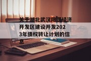 关于湖北武汉阳逻经济开发区建设开发2023年债权转让计划的信息