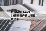 包含SDZFKG2023债权资产转让项目的词条