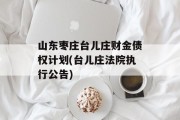 山东枣庄台儿庄财金债权计划(台儿庄法院执行公告)