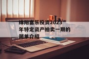 绵阳富乐投资2023年特定资产拍卖一期的简单介绍