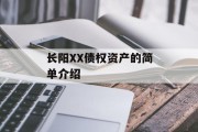 长阳XX债权资产的简单介绍