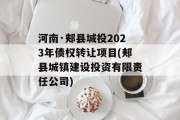河南·郏县城投2023年债权转让项目(郏县城镇建设投资有限责任公司)