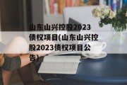 山东山兴控股2023债权项目(山东山兴控股2023债权项目公告)