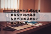 山东滨州市滨城区经济开发投资2024年债权资产(山东滨州城市建设债权6号)