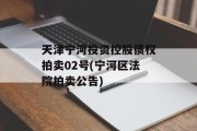 天津宁河投资控股债权拍卖02号(宁河区法院拍卖公告)