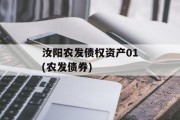 汝阳农发债权资产01(农发债券)