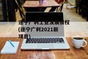 遂宁广利工业发展债权(遂宁广利2021新项目)