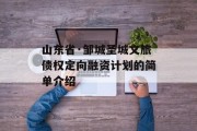 山东省·邹城圣城文旅债权定向融资计划的简单介绍