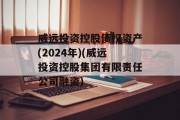 威远投资控股债权资产(2024年)(威远投资控股集团有限责任公司融资)