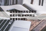 山东邹城利民投资债权拍卖计划(邹城利民公司董事长调整)