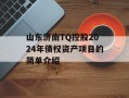 山东济南TQ控股2024年债权资产项目的简单介绍