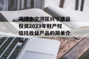 天津市宁河区兴宁建设投资2023年财产权信托收益产品的简单介绍