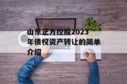 山东正方控股2023年债权资产转让的简单介绍