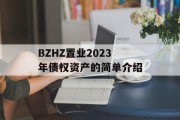 BZHZ置业2023年债权资产的简单介绍