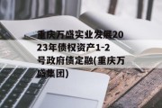 重庆万盛实业发展2023年债权资产1-2号政府债定融(重庆万盛集团)