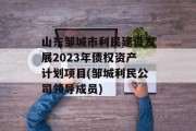 山东邹城市利民建设发展2023年债权资产计划项目(邹城利民公司领导成员)