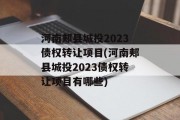 河南郏县城投2023债权转让项目(河南郏县城投2023债权转让项目有哪些)