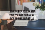 滨州市惠滨实业发展债权资产(滨州市惠滨实业发展债权资产转让)