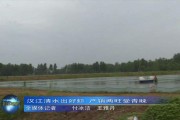 关于老河口市联众住房投资管理-李楼产业园项目定向融资产品的信息