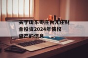 关于山东枣庄台儿庄财金投资2024年债权资产的信息