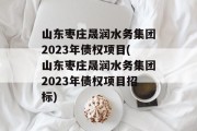 山东枣庄晟润水务集团2023年债权项目(山东枣庄晟润水务集团2023年债权项目招标)