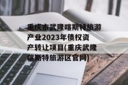 重庆市武隆喀斯特旅游产业2023年债权资产转让项目(重庆武隆喀斯特旅游区官网)