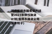 河南偃师市国有资产经营2023年债权融资计划(偃师市国资公司领导班子)