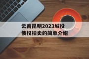 云南昆明2023城投债权拍卖的简单介绍