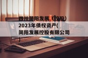 四川简阳发展（控股）2023年债权资产(简阳发展控股有限公司)