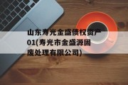 山东寿光金盛债权资产01(寿光市金盛源固废处理有限公司)