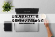 山东海创2023年城投债权计划的简单介绍