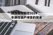 陕西咸阳新控2024年债权资产项目的简单介绍