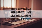 山东正方控股2022债权收益权01(山东正方控股2022债权收益权011号)