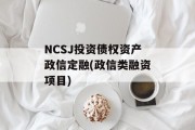 NCSJ投资债权资产政信定融(政信类融资项目)