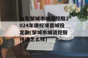 山东邹城市城资控股2024年债权项目城投定融(邹城市城资控股待遇怎么样)