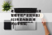 老河口市联众住房投资管理李楼产业园项目2023年定向融资(老河口李楼镇)