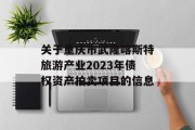 关于重庆市武隆喀斯特旅游产业2023年债权资产拍卖项目的信息