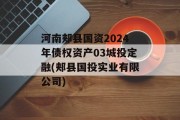 河南郏县国资2024年债权资产03城投定融(郏县国投实业有限公司)