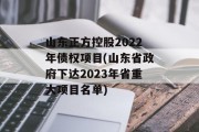 山东正方控股2022年债权项目(山东省政府下达2023年省重大项目名单)