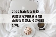 2022年山东兴鱼投资建设定向融资计划(山东兴鱼资本投资有限公司)