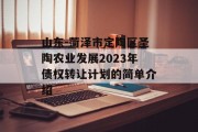 山东-菏泽市定陶区圣陶农业发展2023年债权转让计划的简单介绍