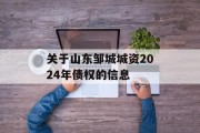 关于山东邹城城资2024年债权的信息