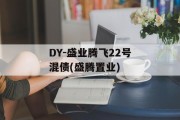 DY-盛业腾飞22号混债(盛腾置业)