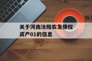 关于河南汝阳农发债权资产01的信息