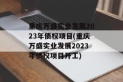 重庆万盛实业发展2023年债权项目(重庆万盛实业发展2023年债权项目开工)