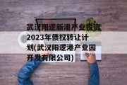 武汉阳逻新港产业投资2023年债权转让计划(武汉阳逻港产业园开发有限公司)