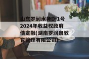 山东罗润水务D-1号2024年收益权政府债定融(湖南罗润泉教育管理有限公司)