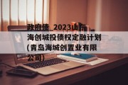 政府债_2023山东海创城投债权定融计划(青岛海城创置业有限公司)